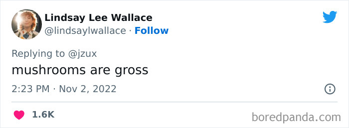 Unpopular-Controversial-Opinions