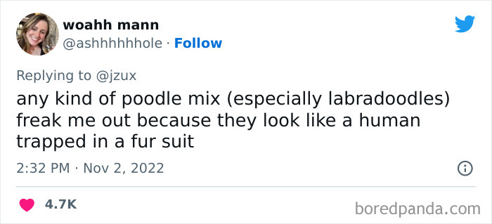 Unpopular-Controversial-Opinions