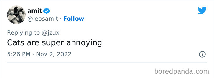 Unpopular-Controversial-Opinions