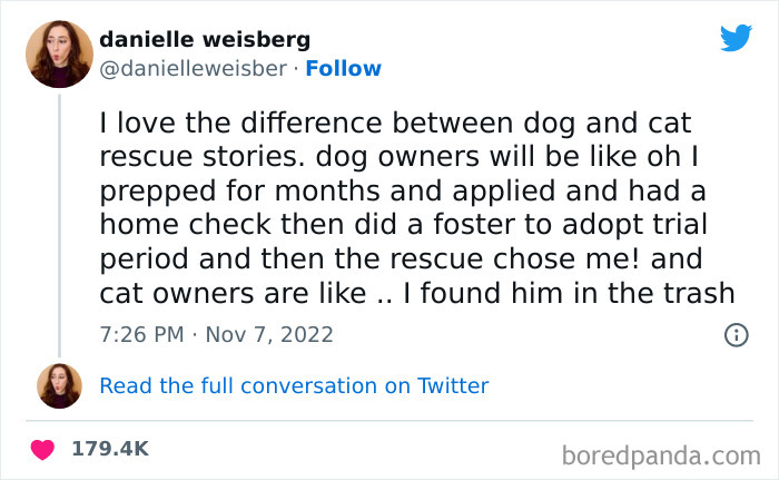 Tweet from a woman humorously comparing dog and cat rescue stories, featured in funniest tweets this week.