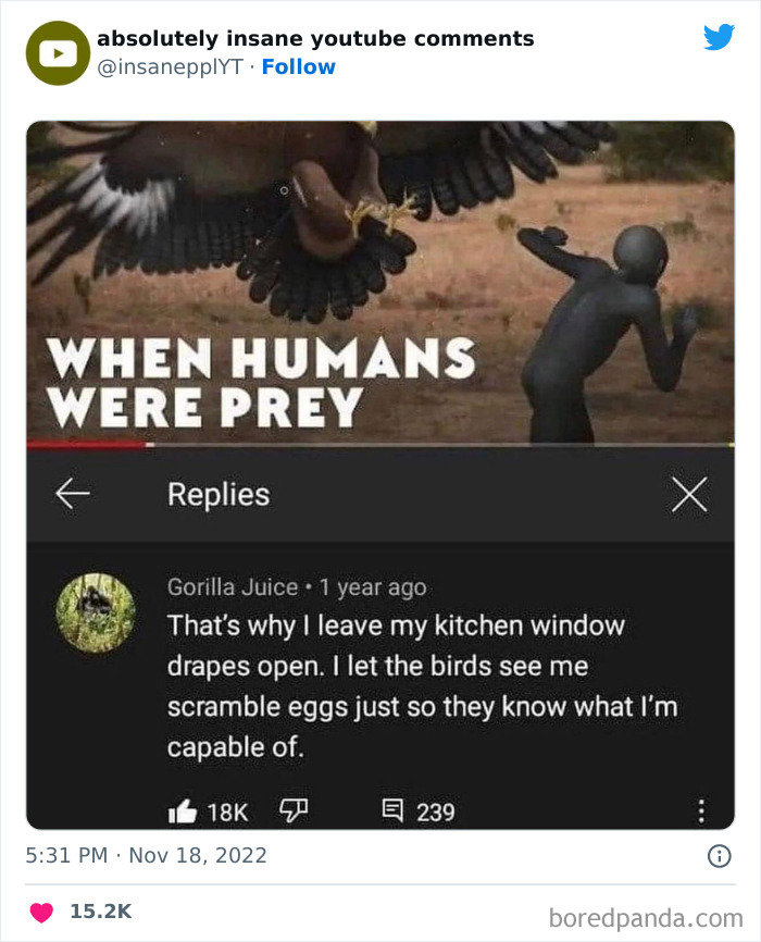 Funny-Insane-Youtube-Comments