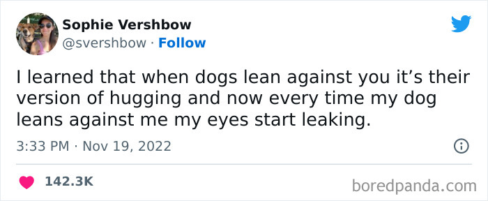 Tweet about dogs leaning as a form of hugging shared among funniest tweets from women to make you ROFL.