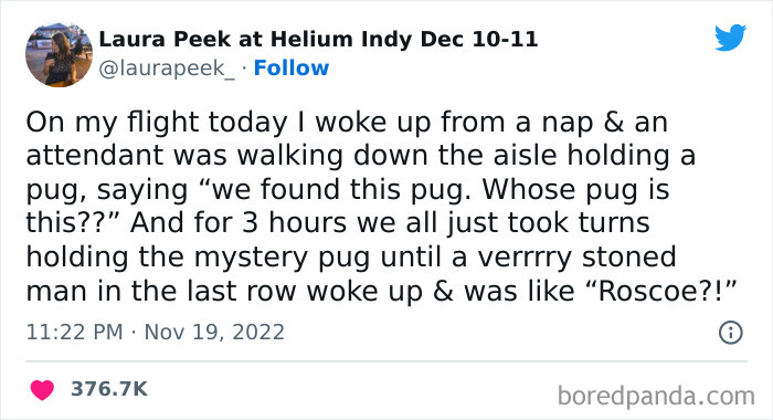 Tweet about a lost pug named Roscoe on a flight, shared among passengers, from funniest tweets by women this week.
