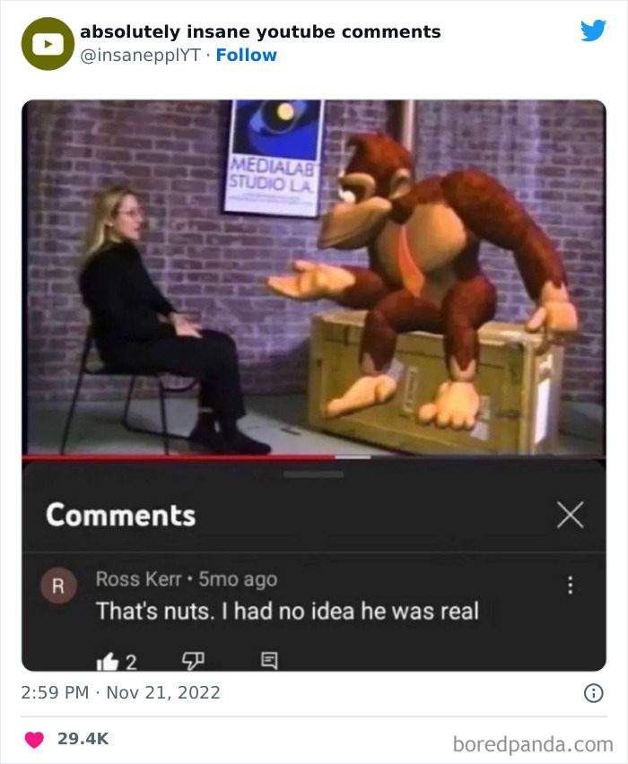 Funny-Insane-Youtube-Comments