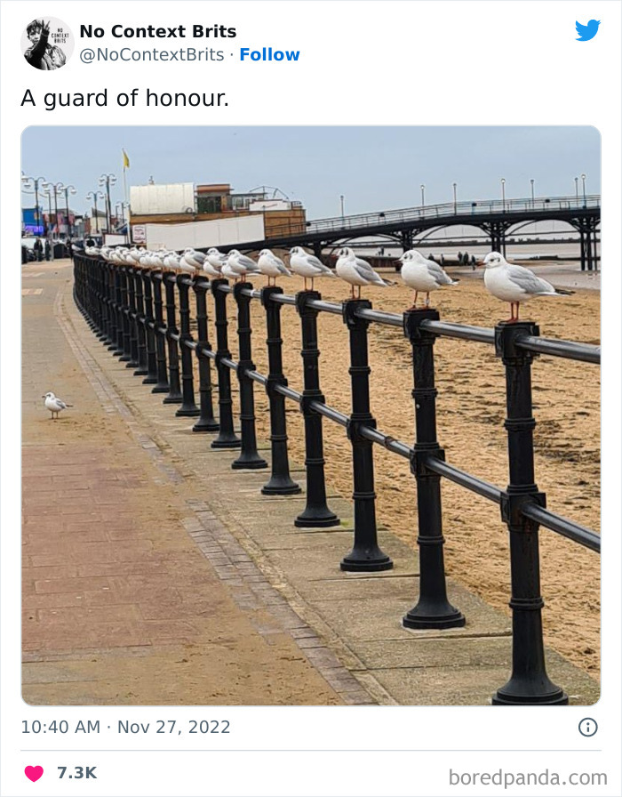 Funny-British-Humour-No-Context-Brits