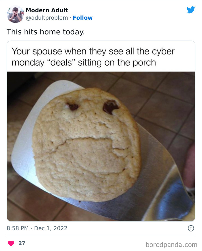 Modern-Adult-Struggles-Adultproblem