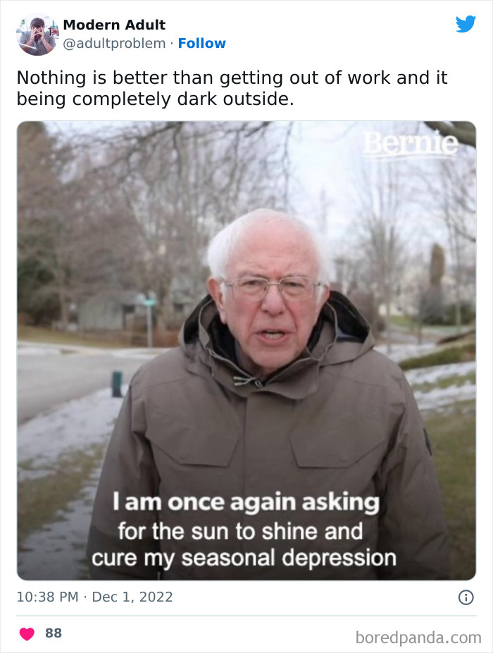 Modern-Adult-Struggles-Adultproblem