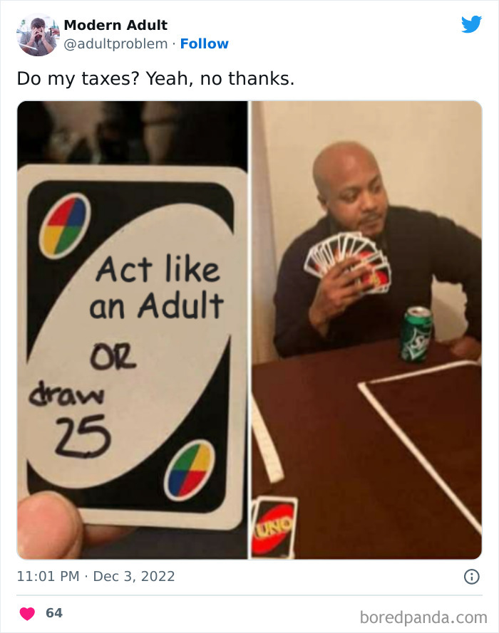 Modern-Adult-Struggles-Adultproblem