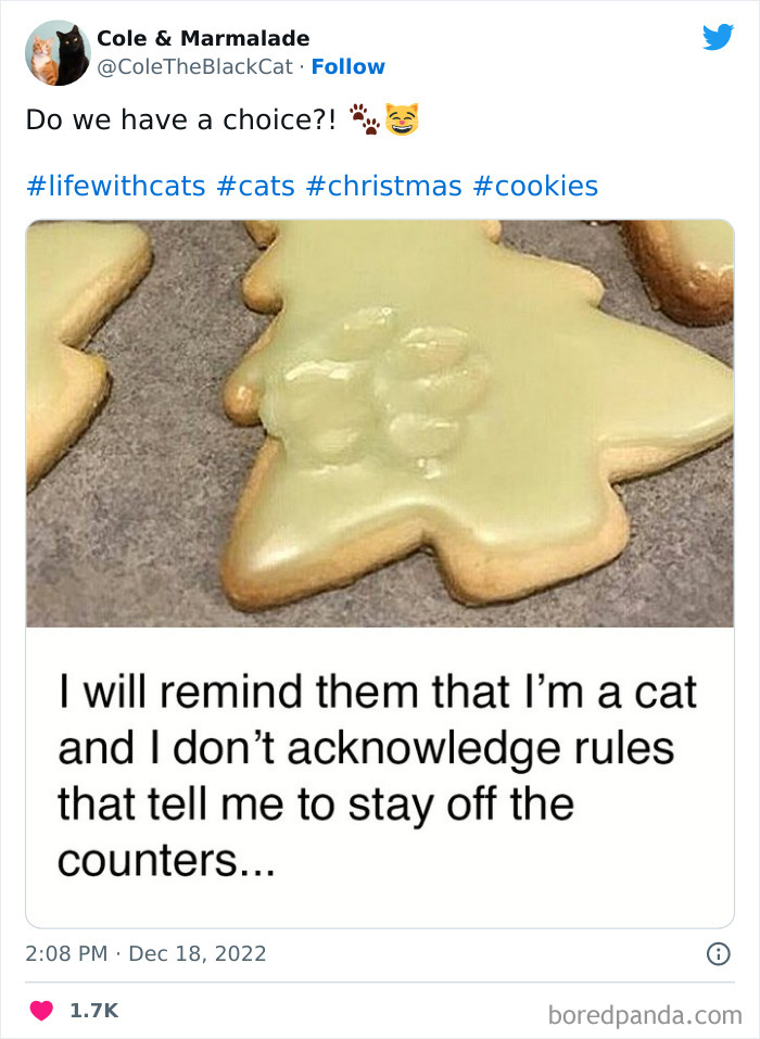 Hysterical-Christmas-Tweets