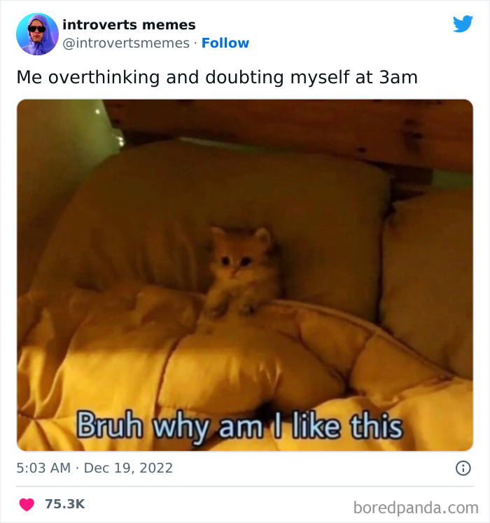 Funny-Introverts-Memes