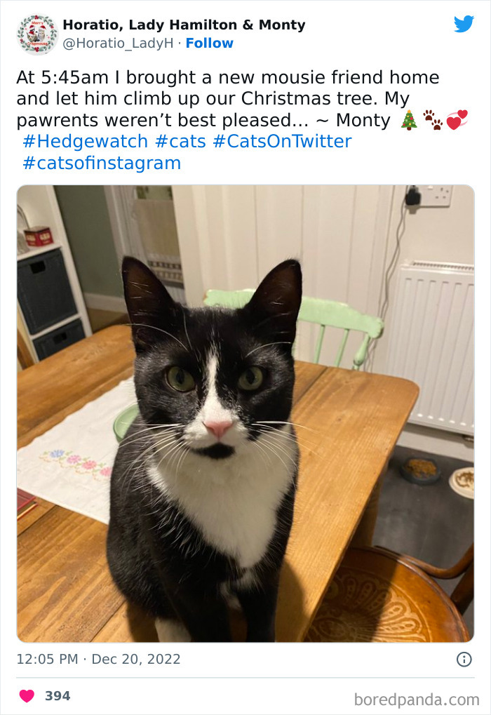 Hysterical-Christmas-Tweets