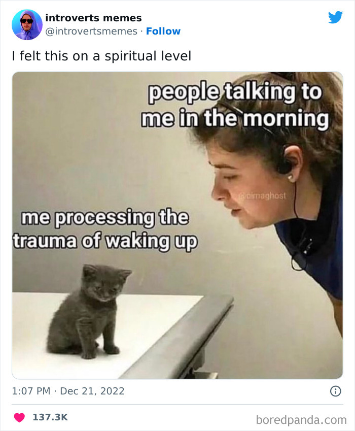 Funny-Introverts-Memes