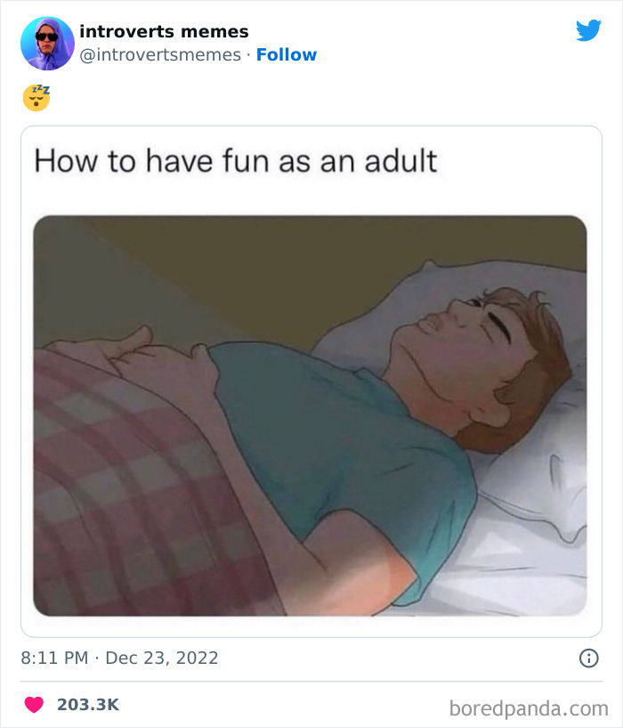 Funny-Introverts-Memes