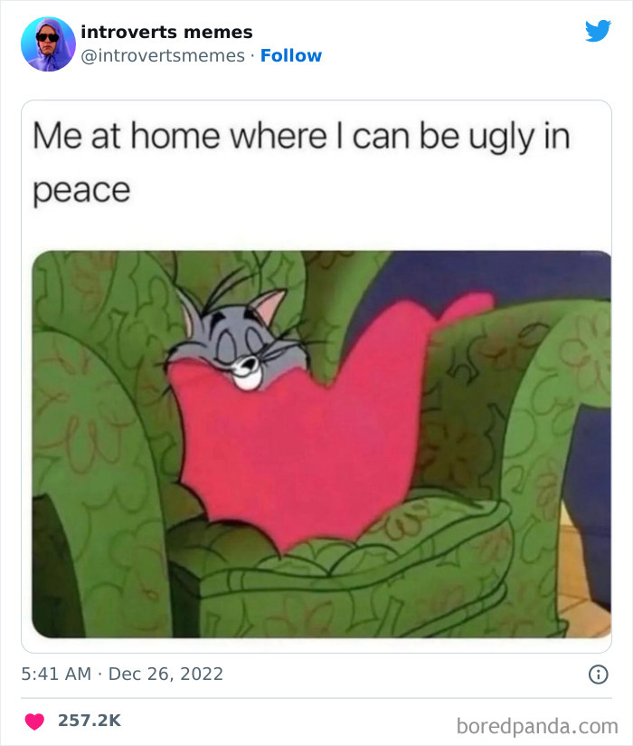 Funny-Introverts-Memes