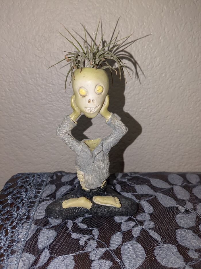 You Didn't Specify Which Holiday. Happy Birthday