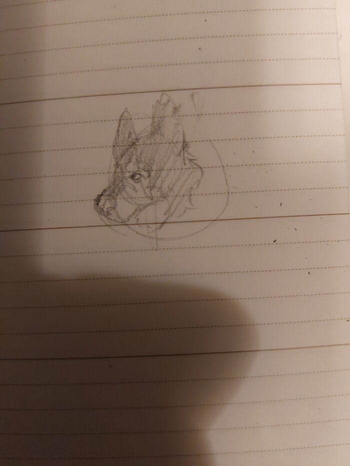 I Don't Tend To Draw Animals, But Anyways