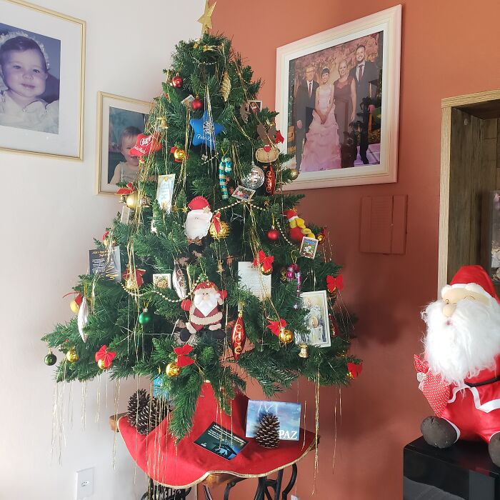 We Tried Our Best Há. This Tree Is Older Than Me But Holding Up