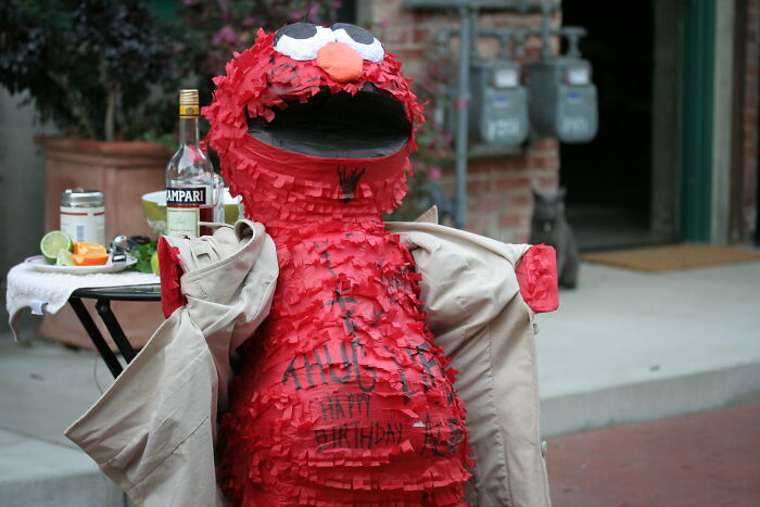person dressed in elmos' costume 