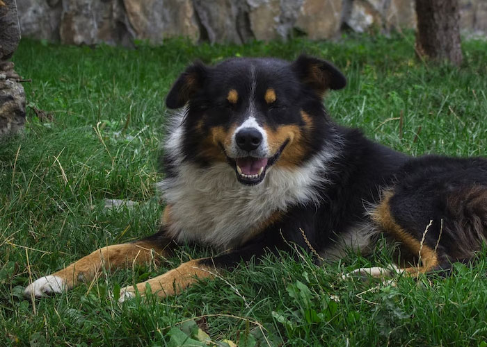 27 Dads Come Together In This Thread To Share Their Knowledge About Homeowning