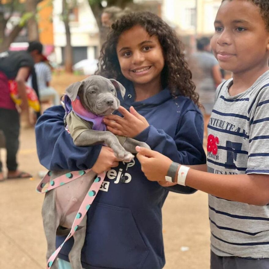 In Brazil, Dogs Make Homeless Children's Lives A Little Less Sad (30 Pics)