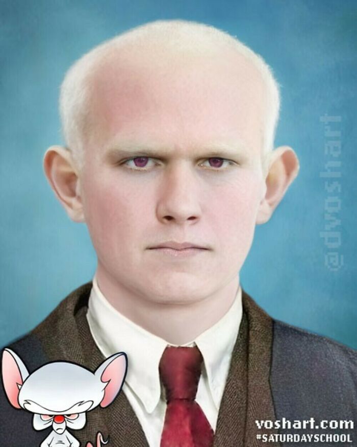 Brain From Pinky And The Brain