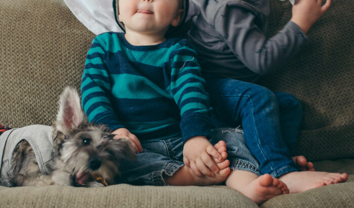 dog lying next to a toddlers
