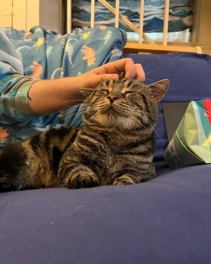 After Going Viral On Twitter, Fishtopher Has Recently Been Adopted And Is Off To Live A Happy Life