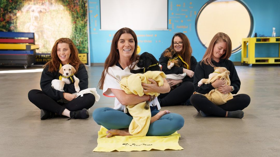 23 Dogs Were Allowed To Pick Their Own Christmas Gifts At Animal Shelter, And Here’s What Happened 23 Dogs Were Allowed To Pick Their Own Christmas Gifts At Animal Shelter, And Here’s What Happened