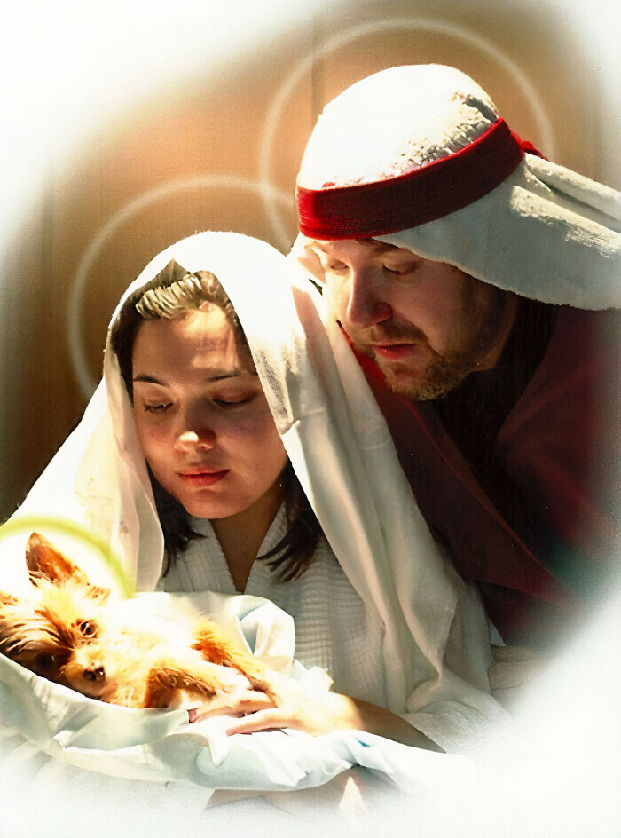 My Friends Christmas Card Gets Better Every Year!