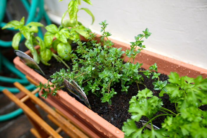 30 People Online Unveil 'Tricks' That Make Matters Easier In Their Kitchen