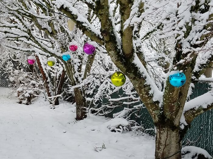 Beauty After The Storm