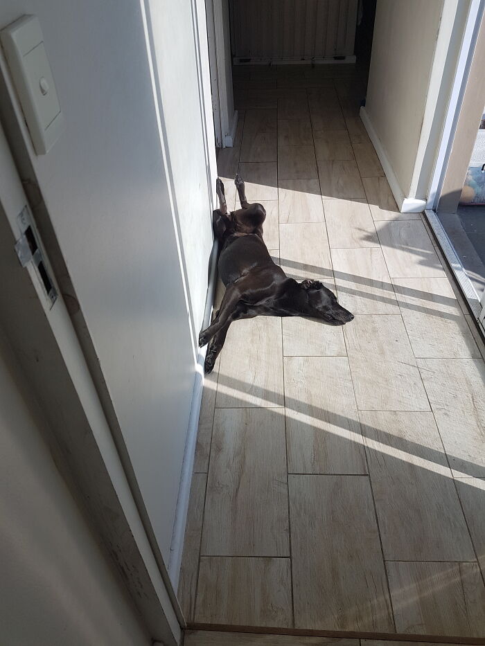 Having A Snoozzzzzzzzzz