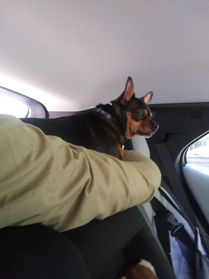 Behold, Frank Trying Not To Fall Asleep