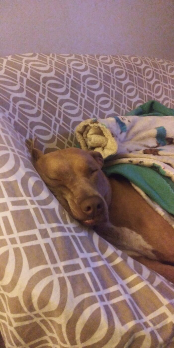 I'm Just Gonna...rest...my...head