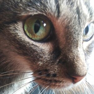 applesethjill44 avatar