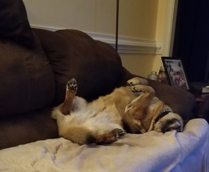 Absolutely Comfortable!