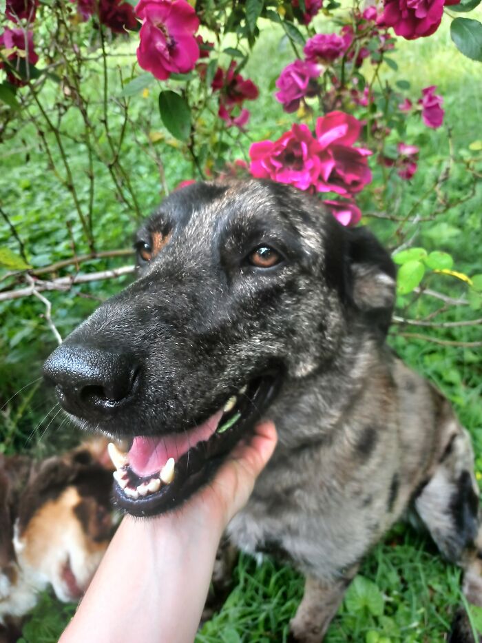 Margeaux (See Comments)