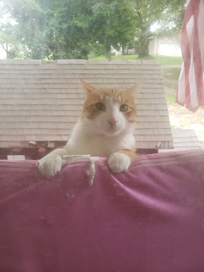 Peek A Boo, I Scared U First