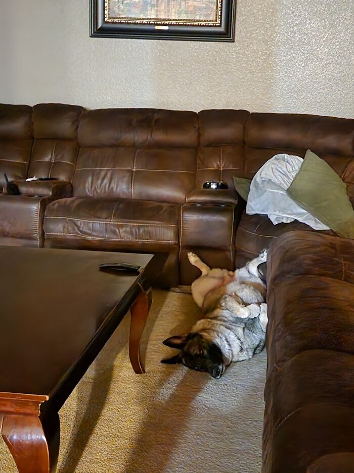 Idk How That's Comfy