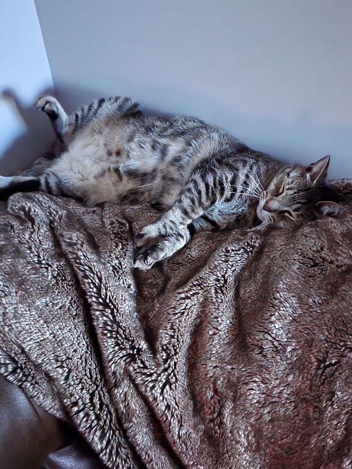 Jack And Chloe Living The Good Life!