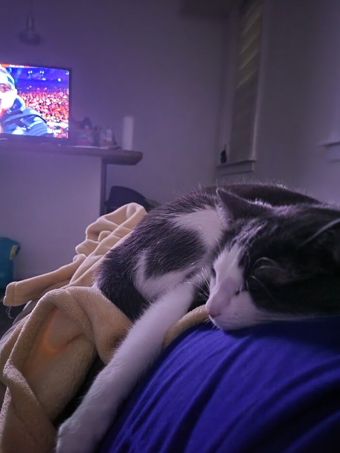 The Miz Put Her To Sleep