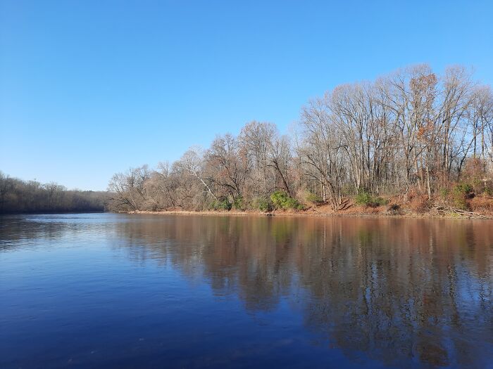 Cold And Windy, But I'm Still Going Out For A Walk