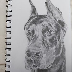 caitlynmclean avatar