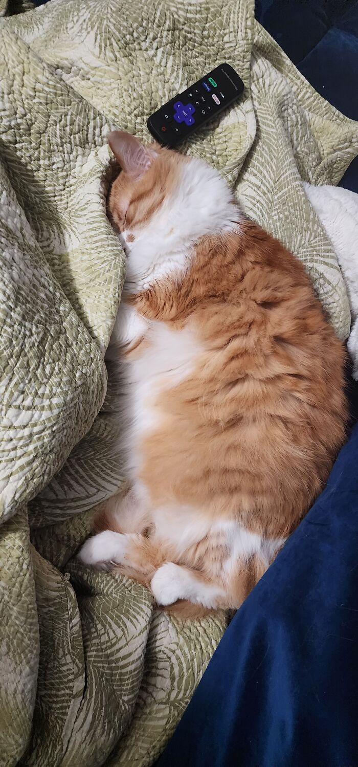 When Netflix Asks "Are You Still Watching?"