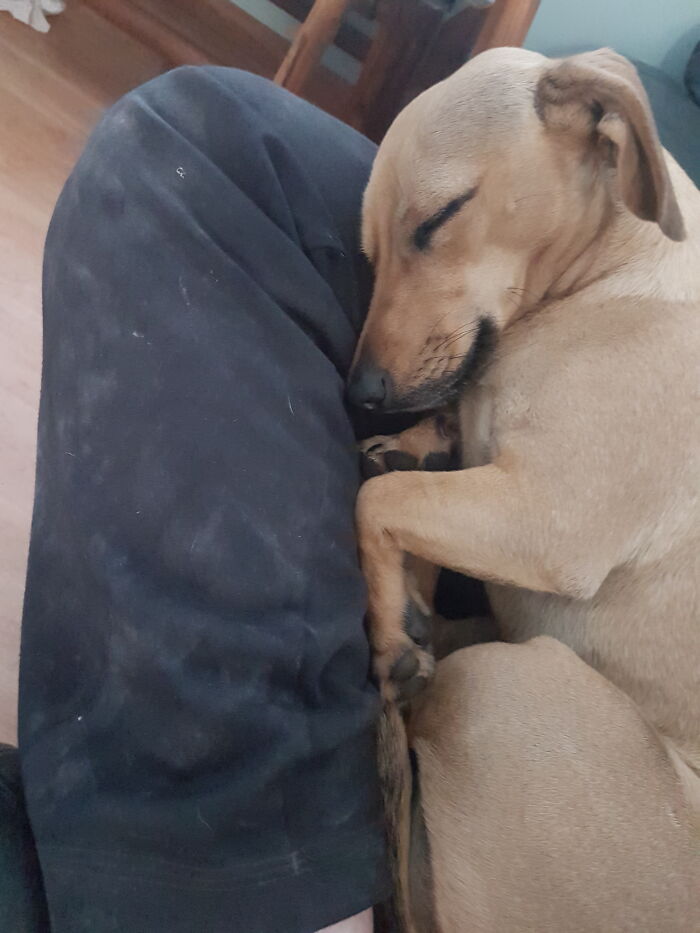 It Was A Loooong Day