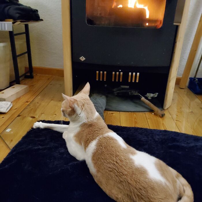 The Nightly Options For Warmth Are Mommy, Daddy Or The Fireplace