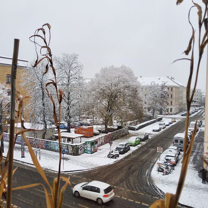 The First Really Recognizable Snow At My Current Place - Maybe Tonight There's Enough For The Snowfight