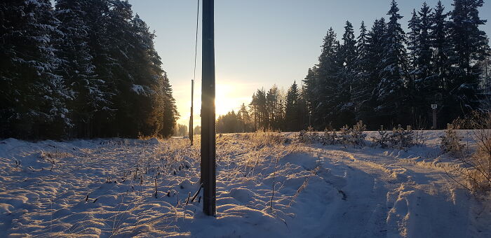 -12c Near A Railroad We're Working At, Estonia