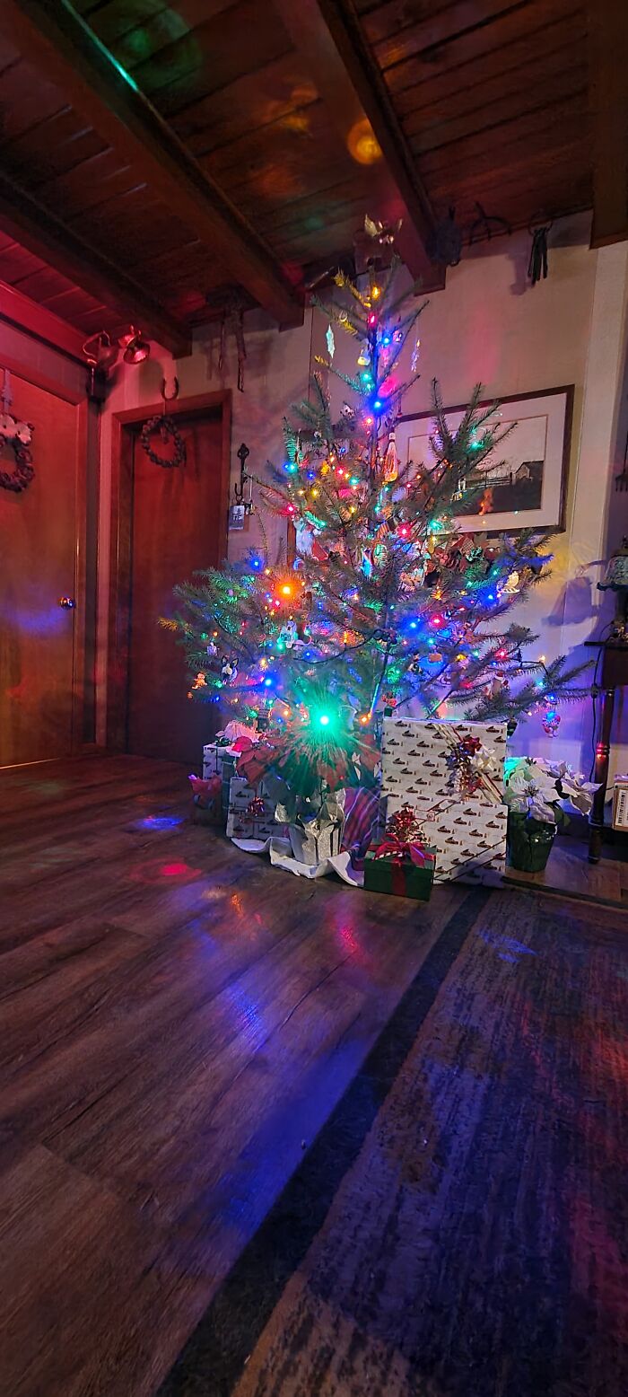 The Top Of One Of Our Younger Timber Trees. I Wanted To Save Some Money!