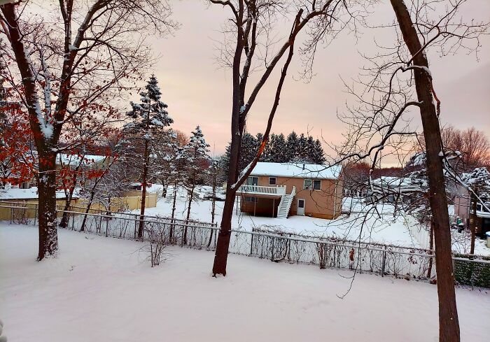 Back Yard Photo From My Son's 2nd Floor Bedroom!